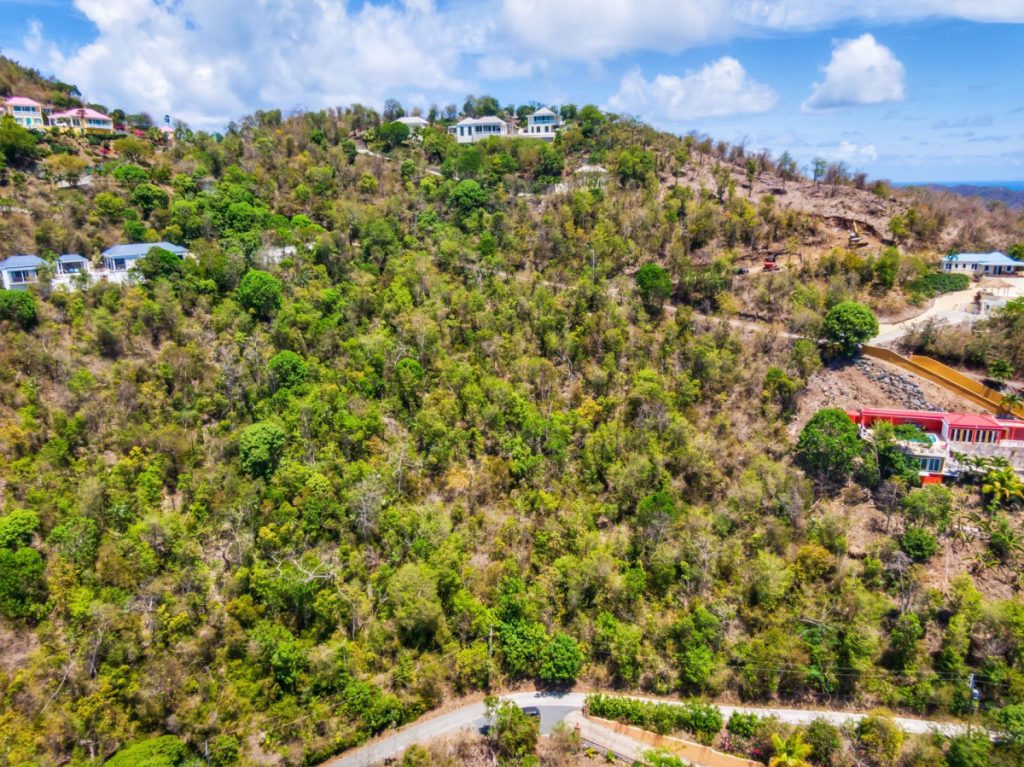 Belmont (294) 1.054 Acre